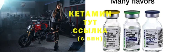 крисы Алексин
