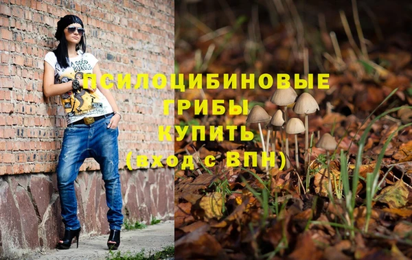 крисы Алексин