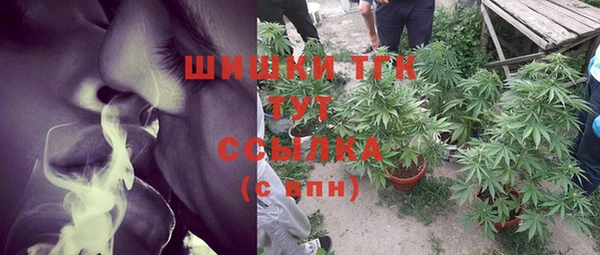 трава Абаза