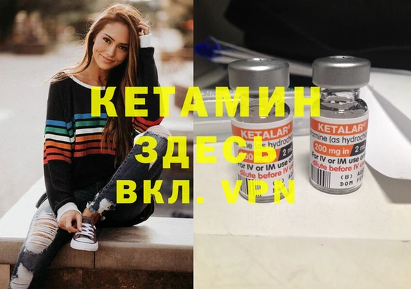 гашик Няндома