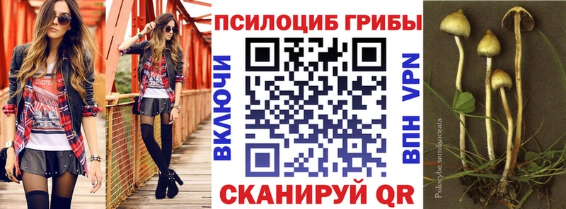 Псилоцибиновые грибы Psilocybe  Цимлянск 